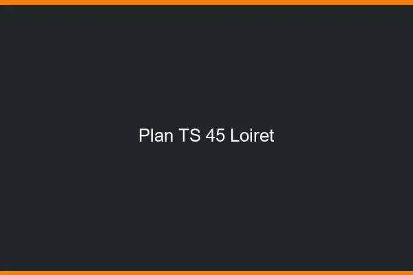 Plan TS 45 loiret