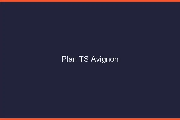 Plan TS Avignon