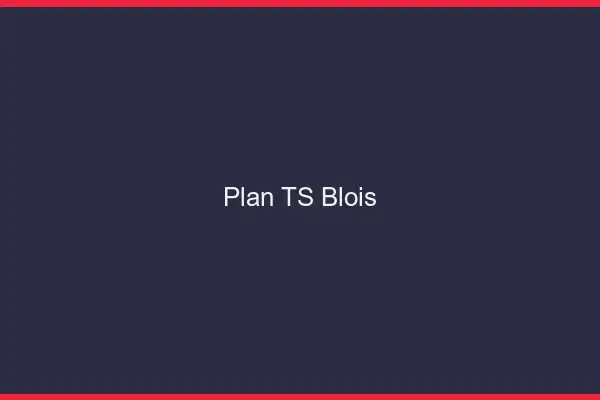 Plan TS Blois