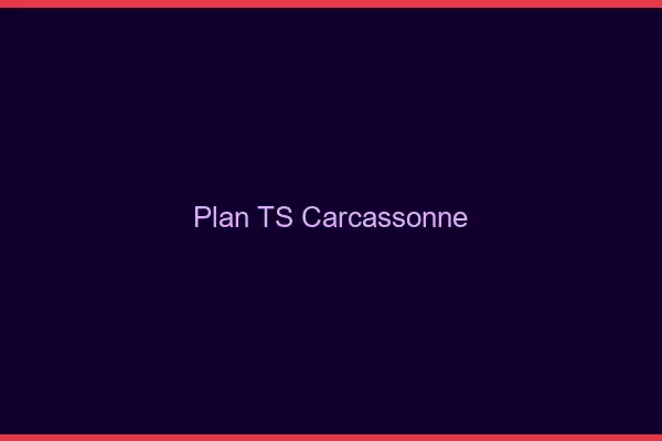 Plan TS Carcassonne