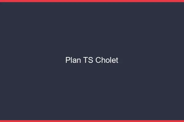 Plan TS Cholet