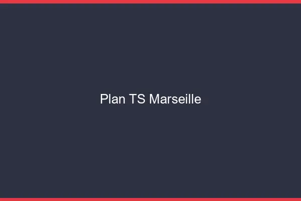Plan TS Marseille