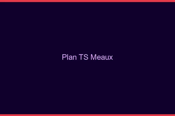 Plan TS Meaux