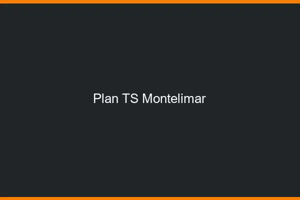 Plan TS Montélimar