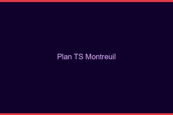 Plan TS Montreuil