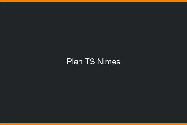 Plan TS Nîmes