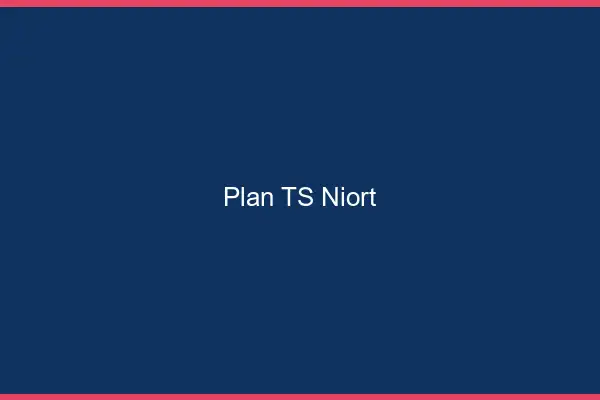 Plan TS Niort