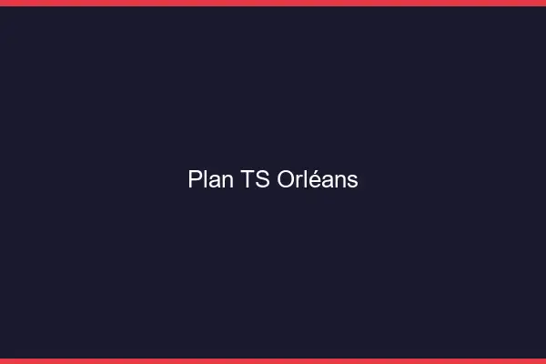 Plan TS Orléans