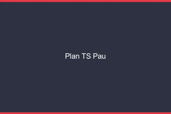 Plan TS Pau