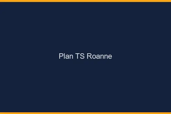 Plan TS Roanne