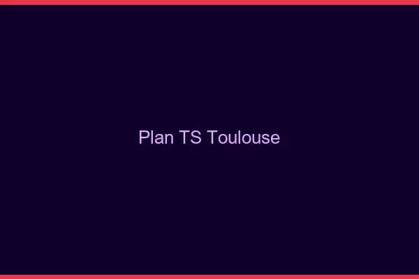 Plan TS Toulouse