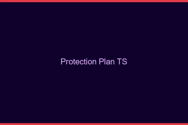 Protection plan TS