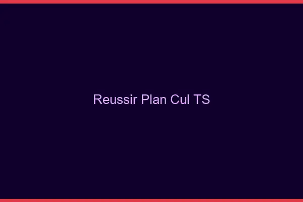 Réussir plan cul TS