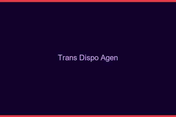 Trans dispo Agen
