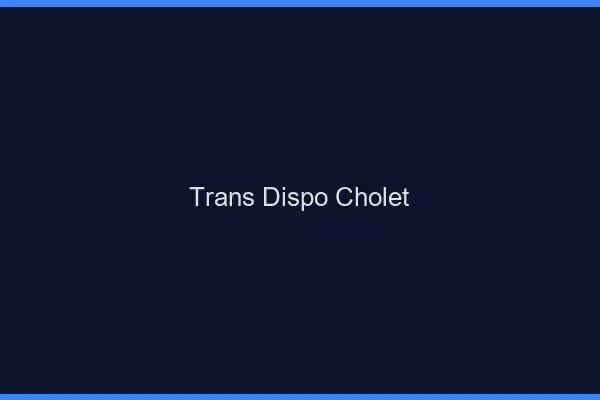 Trans dispo Cholet