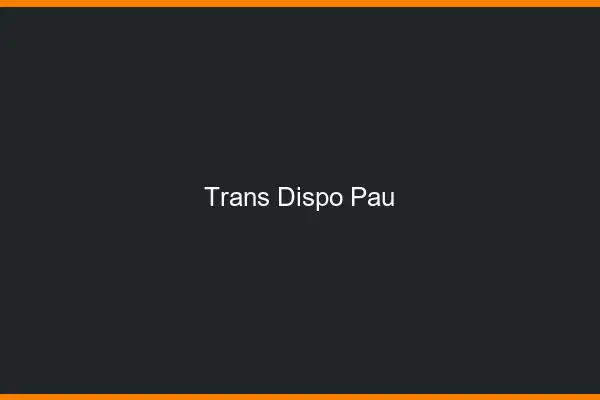 Trans dispo Pau
