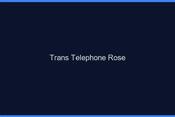 Trans téléphone rose