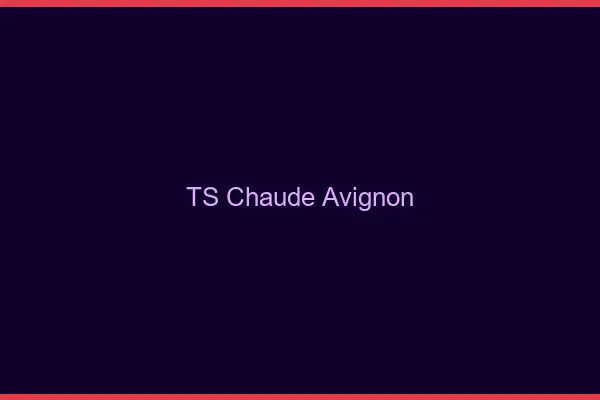 TS chaude Avignon