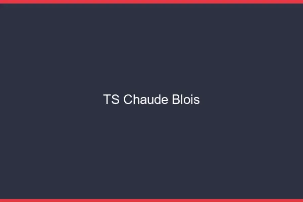 TS chaude Blois