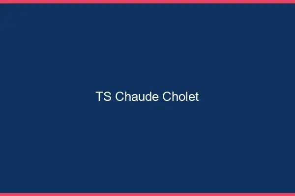 TS chaude Cholet