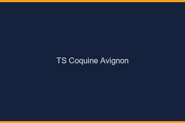 TS coquine Avignon