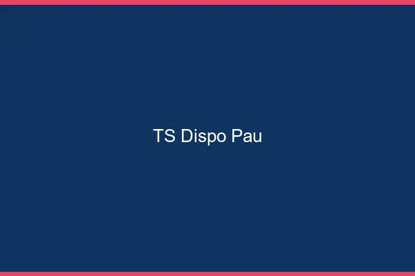 TS dispo Pau