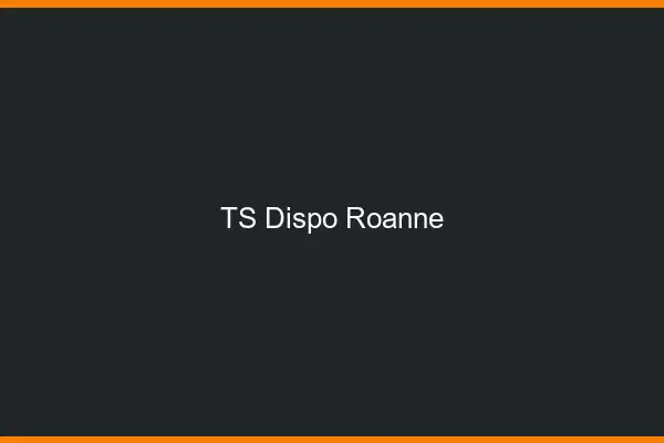 TS dispo Roanne