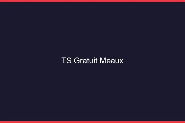 TS gratuit Meaux