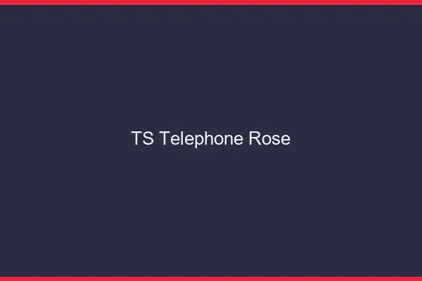 TS téléphone rose