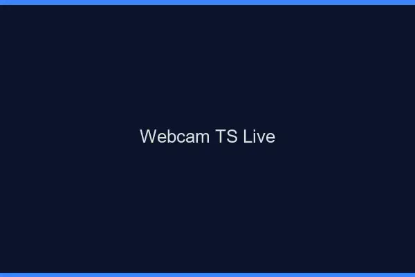 Webcam TS live